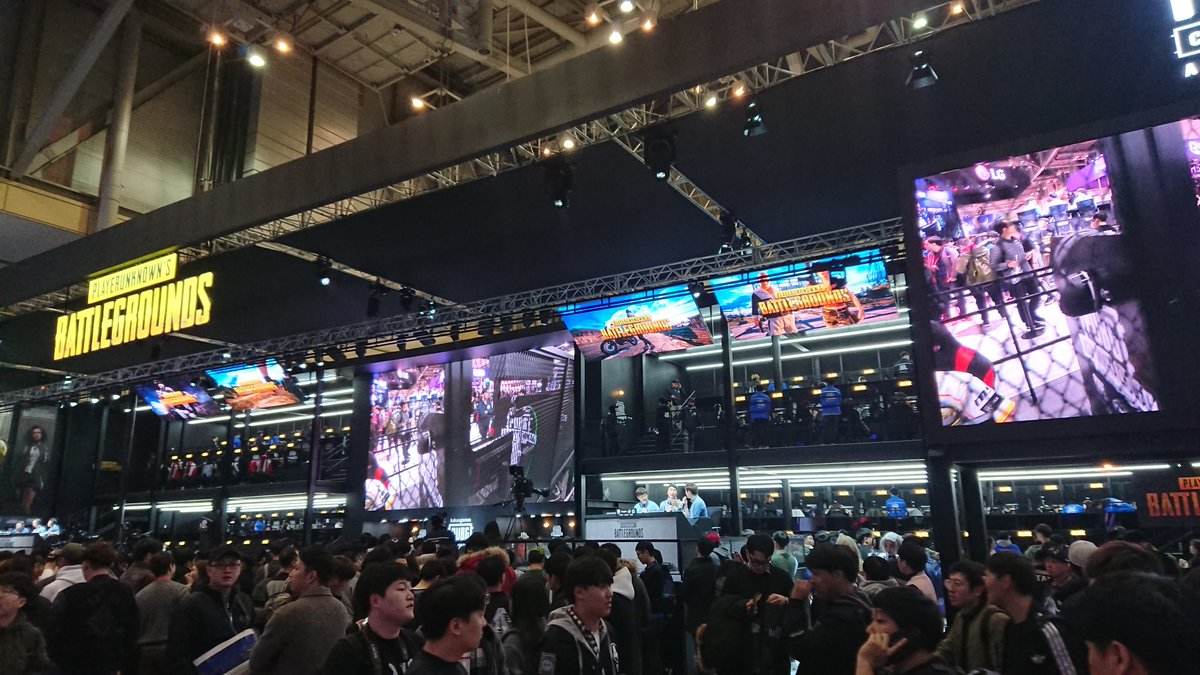 回归灰熊后 回归灰熊后