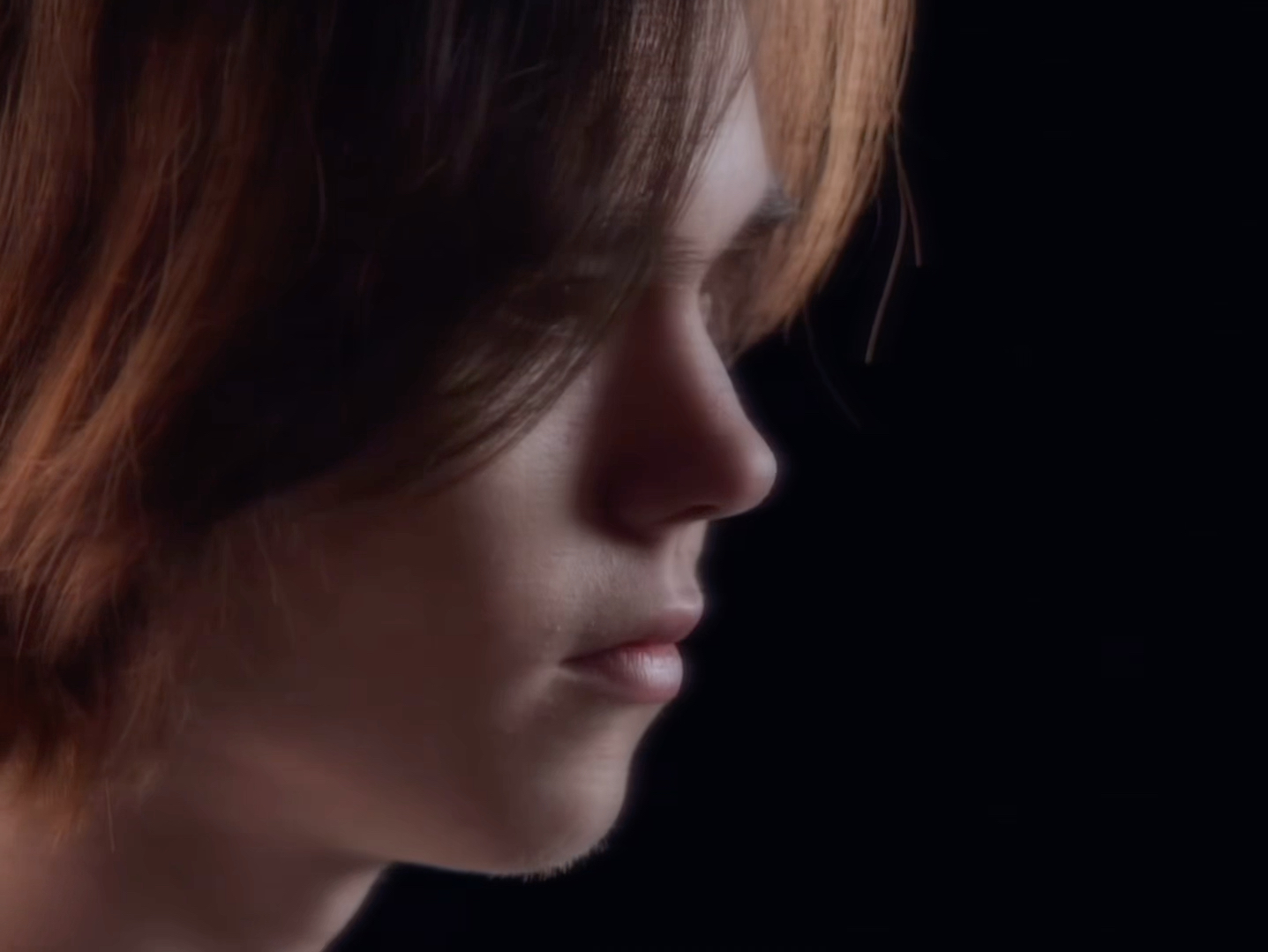 开辟了新的 开辟了新的