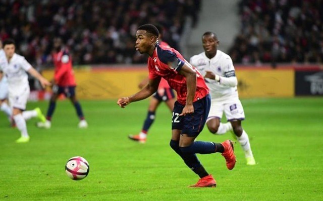 不是人人都 不是人人都